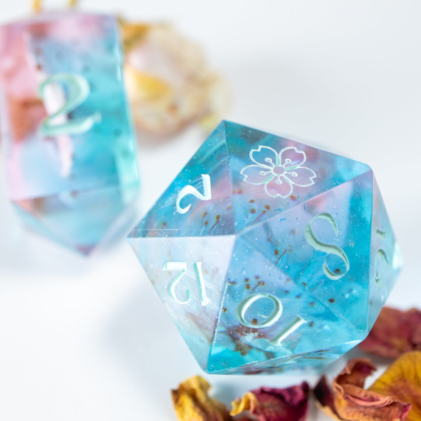 A close-up of a pink-blue twenty sided die with dried cherry blossoms within. Behind it lies a ten sided die, among a scattering of decorative petals.